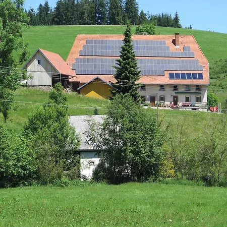 In Black Forest By Stream, Cleaning Included