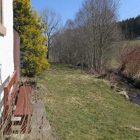 In Black Forest By Stream, Cleaning Included Nyaraló Brigach