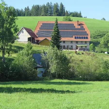In Black Forest By Stream, Cleaning Included Nyaraló Brigach