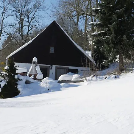 In Black Forest By Stream, Cleaning Included