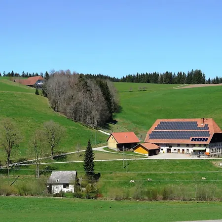 In Black Forest By Stream, Cleaning Included *