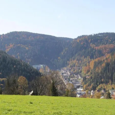 In Black Forest By Stream, Cleaning Included