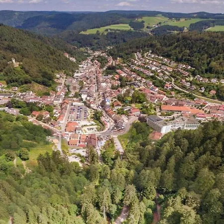 In Black Forest By Stream, Cleaning Included Brigach