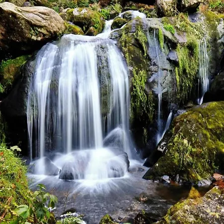 In Black Forest By Stream, Cleaning Included Brigach