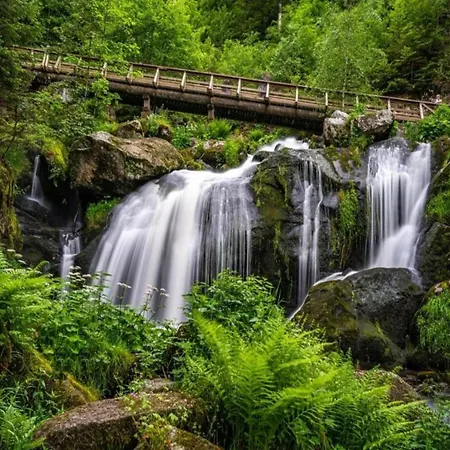 In Black Forest By Stream, Cleaning Included * Brigach